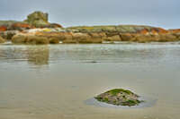 20241004130032_Serene_Shoreline_at_Bay_of_Fires